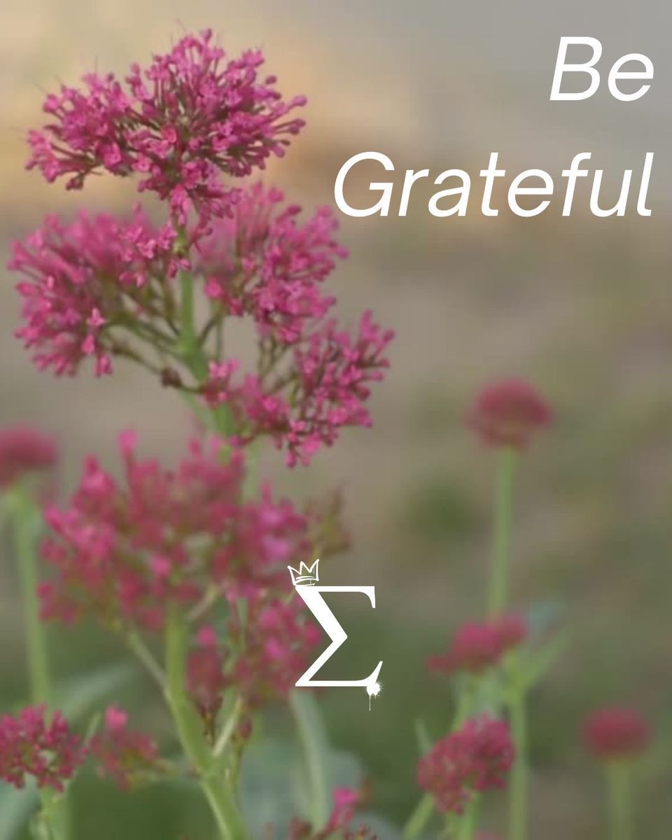 SigmaMeUp's tweet image. Be Grateful.
For the grind. For the growth.
For every closed door that redirected you.
For every challenge that made you sharper.
Gratitude is power in peace. 💪 🧠 💪 ❤️ 

#BeGrateful #SigmaMindset #GratitudeIsPower #InnerStrength #PeaceAndProgress #StayHumble #BuiltDifferent