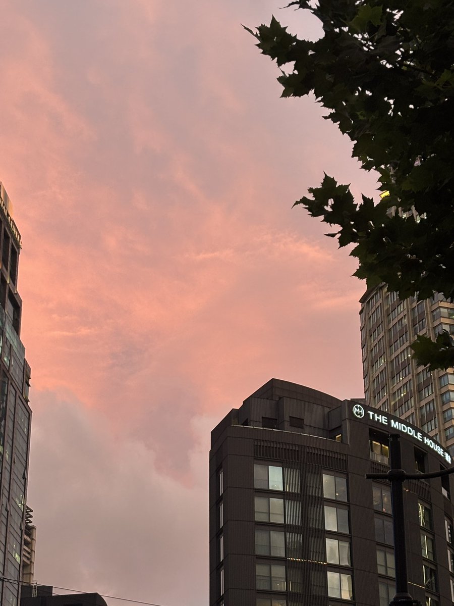 野生动物 (@btquanzhixian) on Twitter photo 