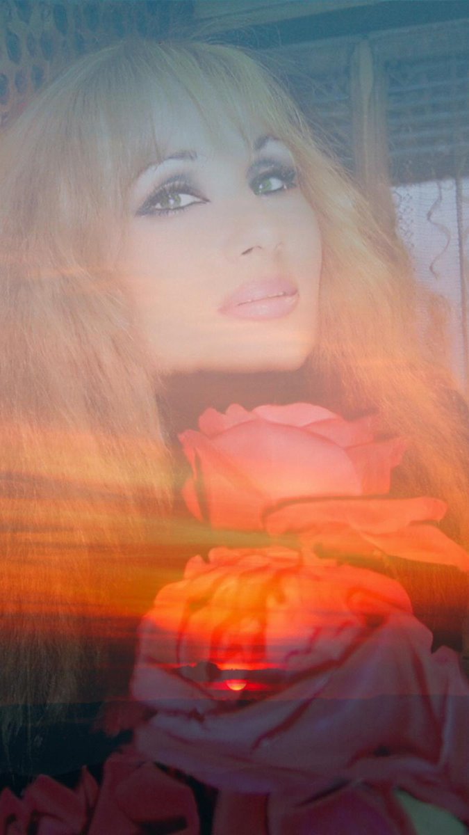 <a href="/sanami2020soren/">F.K</a> Tra le sfumature del tramonto, le rose sembrano incendiare l'aria con la loro bellezza silenziosa 🌹🌹🌹🌹🌹