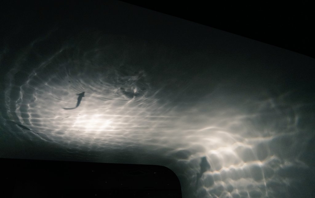 nya_715's tweet image. 水槽を下から照らして影を楽しむ展示。生き物を観賞するとかではないけど1秒たりとも同じ波形も魚影もなくてすごく良かった。ここにイス置いて眺めながら呑みたい。