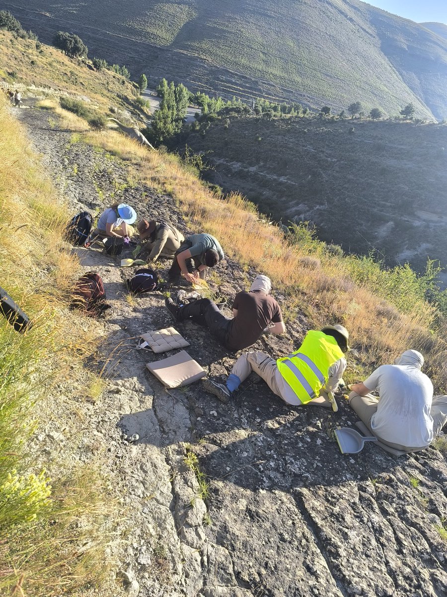 Empezamos otro año campaña de limpieza de #huellas de #dinosaurio en Valdecevillo, Enciso, La Rioja. <a href="/geologicasUCM/">Facultad de Ciencias Geológicas</a> <a href="/InstitutoIER/">IER</a> <a href="/IcnitasEnciso/">Centro Paleontológico Enciso</a> <a href="/unicomplutense/">Complutense</a> <a href="/BarrancoPerdido/">EL BARRANCO PERDIDO</a>
