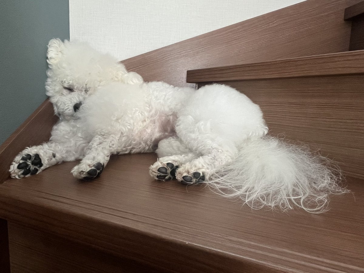 快適なのか…？