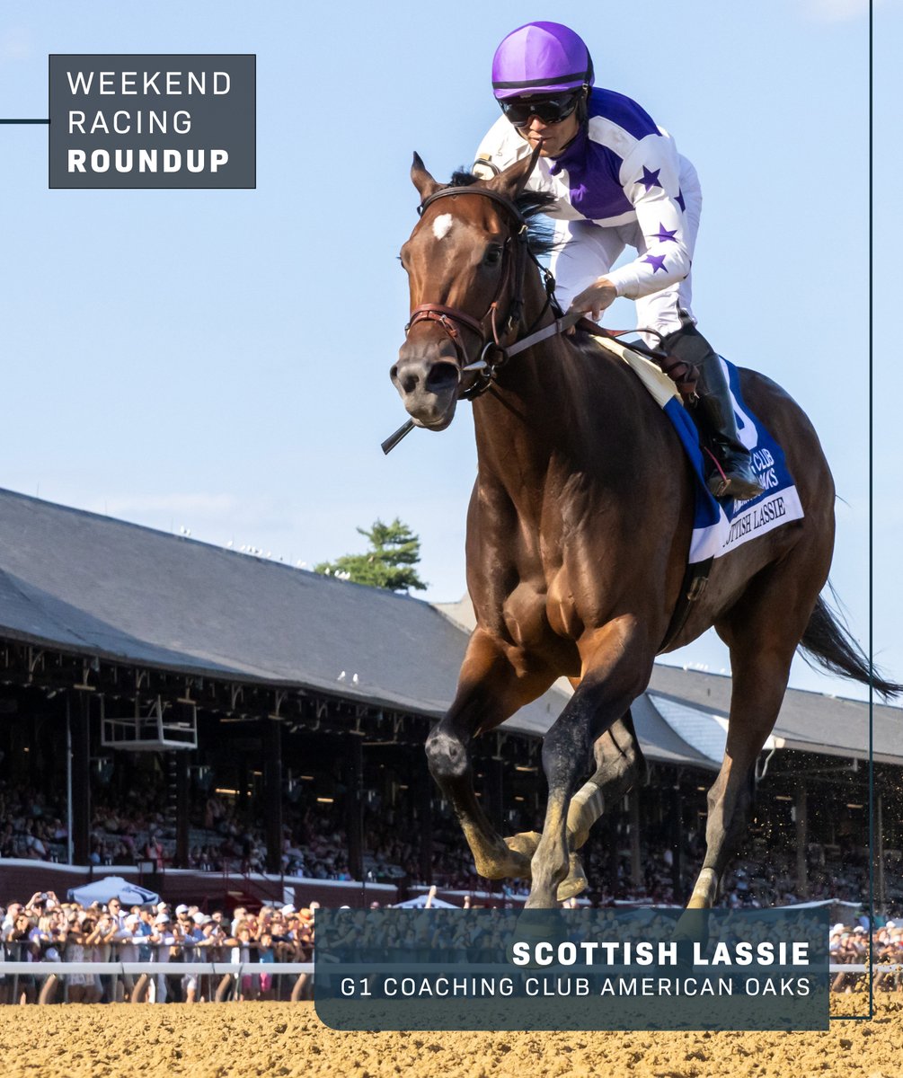 WHR's tweet image. 𝗪𝗘𝗘𝗞𝗘𝗡𝗗 𝗥𝗔𝗖𝗜𝗡𝗚 𝗥𝗢𝗨𝗡𝗗𝗨𝗣 📋
🔘 MINNIE HAUK completes a famous fillies' double at @curraghrace... 🍀
🔘 JOURNALISM refuses to give up and books a ticket to @DelMarRacing... 🏝️
🔘 SCOTTISH LASSIE runs them ragged in Saratoga (@TheNYRA)... 🏴
📸: The…