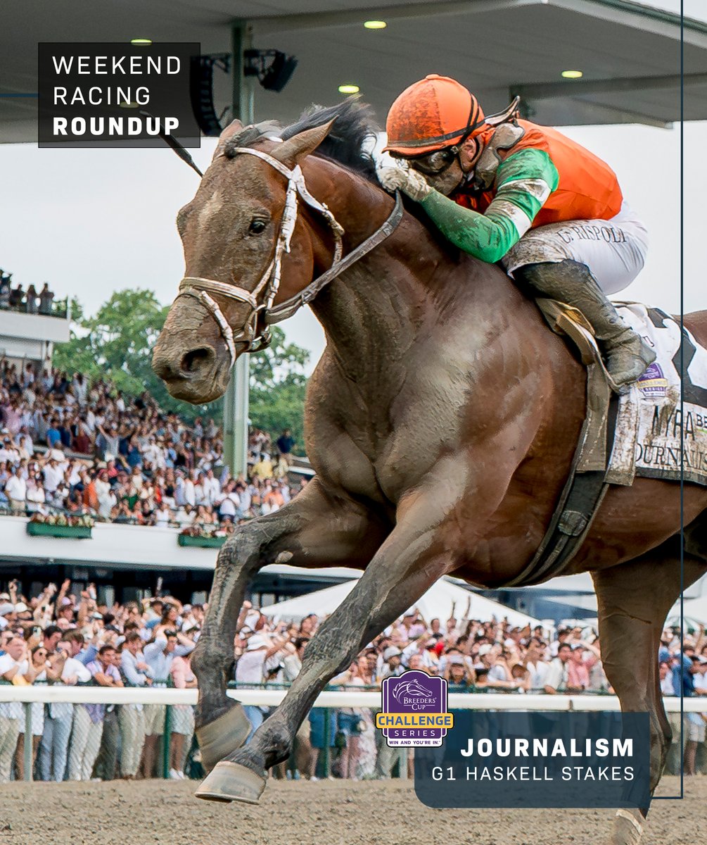 WHR's tweet image. 𝗪𝗘𝗘𝗞𝗘𝗡𝗗 𝗥𝗔𝗖𝗜𝗡𝗚 𝗥𝗢𝗨𝗡𝗗𝗨𝗣 📋
🔘 MINNIE HAUK completes a famous fillies' double at @curraghrace... 🍀
🔘 JOURNALISM refuses to give up and books a ticket to @DelMarRacing... 🏝️
🔘 SCOTTISH LASSIE runs them ragged in Saratoga (@TheNYRA)... 🏴
📸: The…