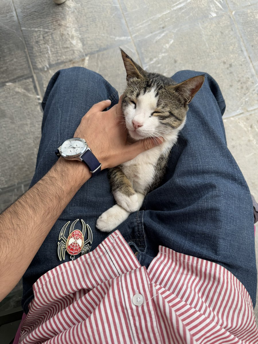 stdanixam's tweet image. تیر 🏹