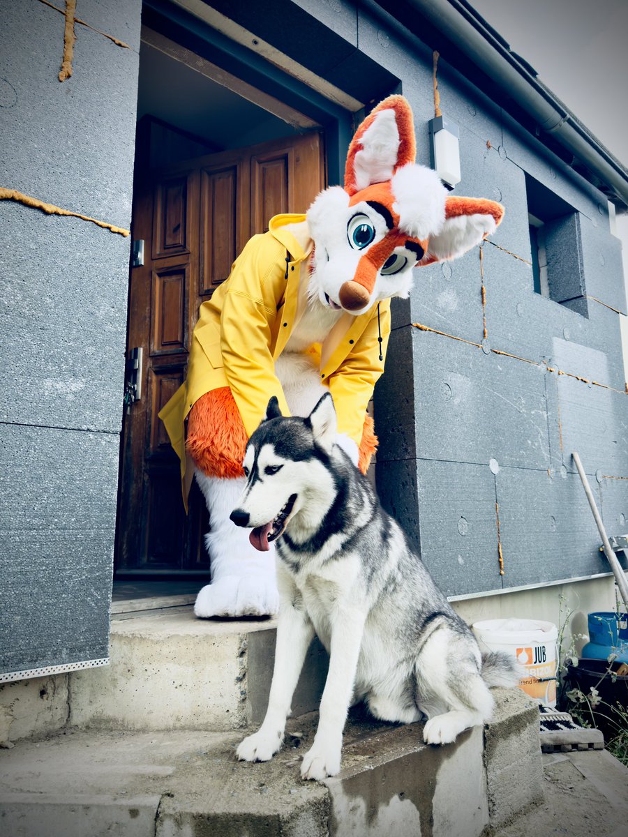 Today rain 🌧️ we go walks 

#R5suits #furry #fursuit #furryfundom