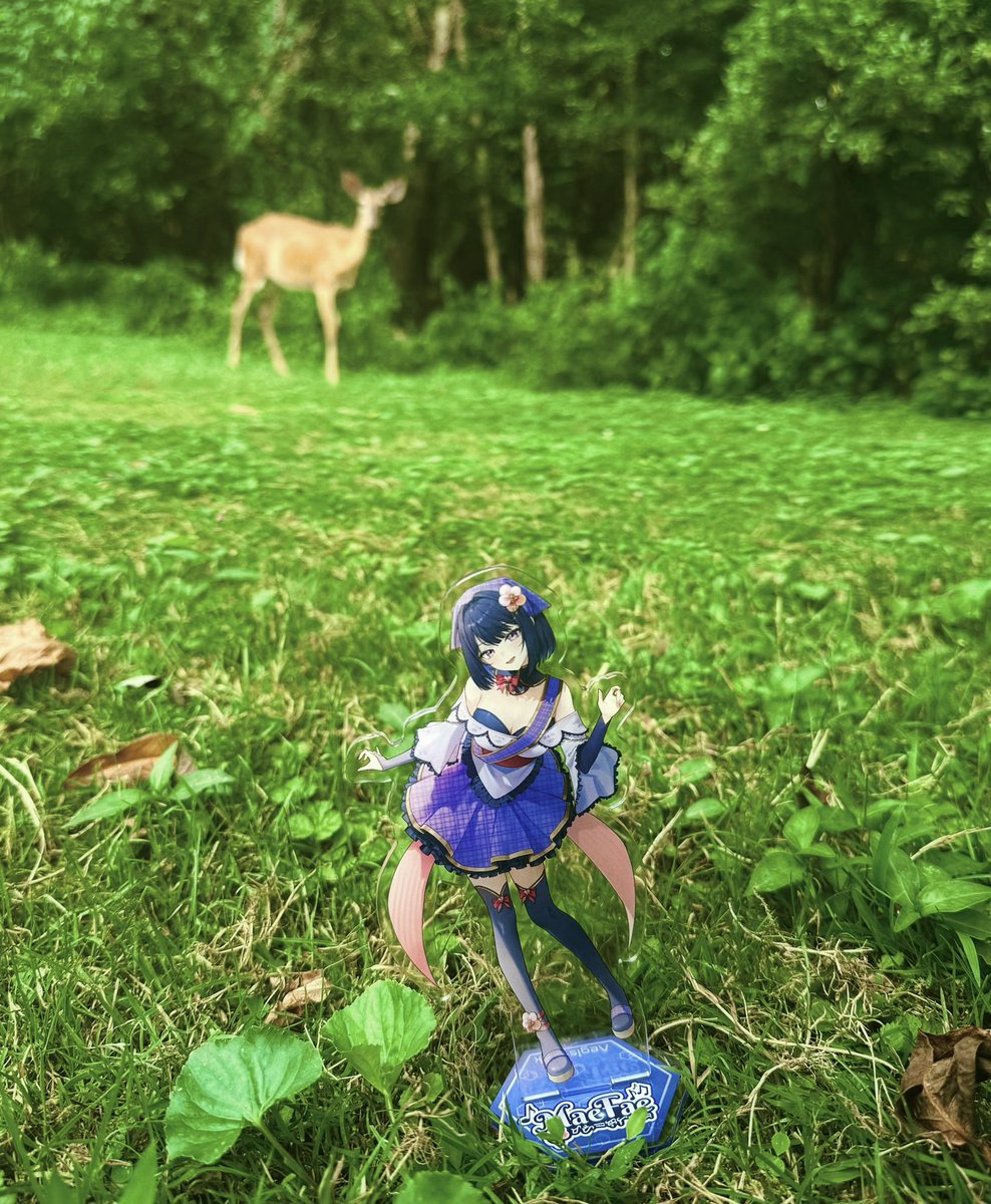MaeFaeCh's tweet image. I touched grass yesterday and made friends with a deer!!! 💜