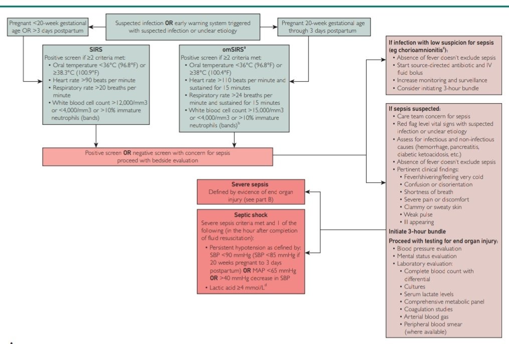 Abordaje y Manejo de la Sepsis Durante el Embarazo 🤰🏼🦠

🔰📚Mayo Clin Proc. 2025

doi.org/10.1016/j.mayo…

Enlace a Artículo Completo 👇🏼✅🆓t.me/SoMELaguna