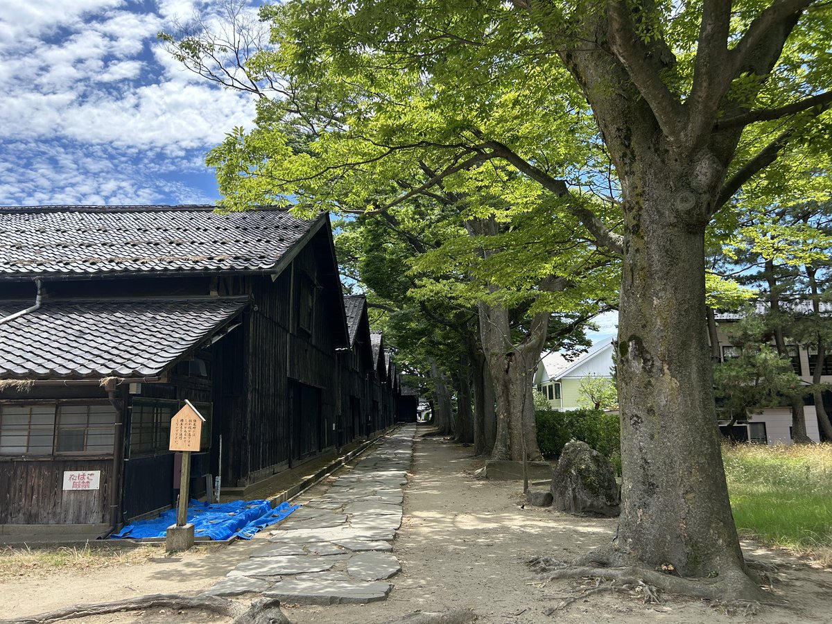 ibrn_'s tweet image. 酒田、山居倉庫周りちゃんと歩いたことなかったけど思った以上に雰囲気いいな