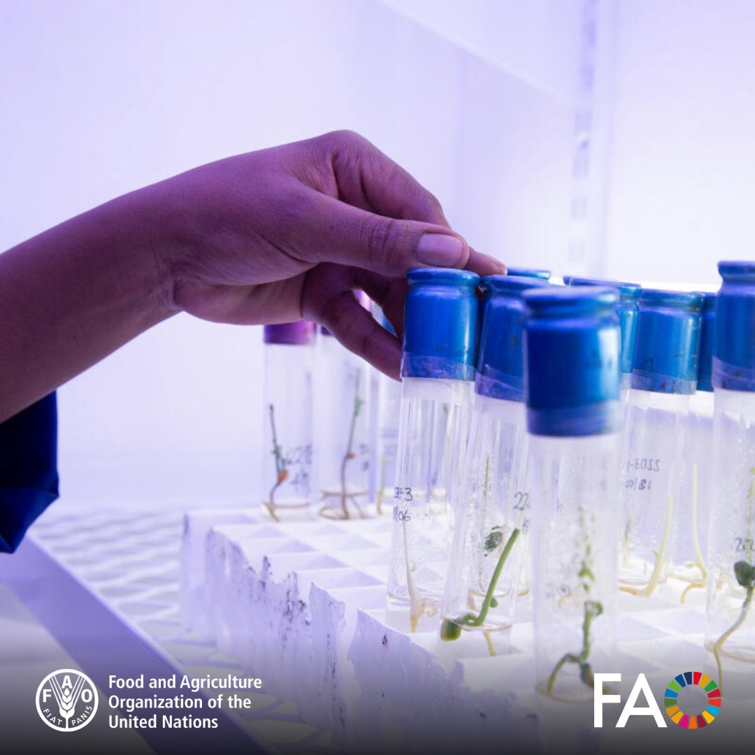 FAOAIMS's tweet image. 🌱 AGRIS keeps growing!
New data providers are helping build one of the most up-to-date and comprehensive agricultural databases.
🌍See how African institutions are contributing to the future of sustainable agriculture: fao.org/agris/news/wel…
#OpenData #AgricultureResearch