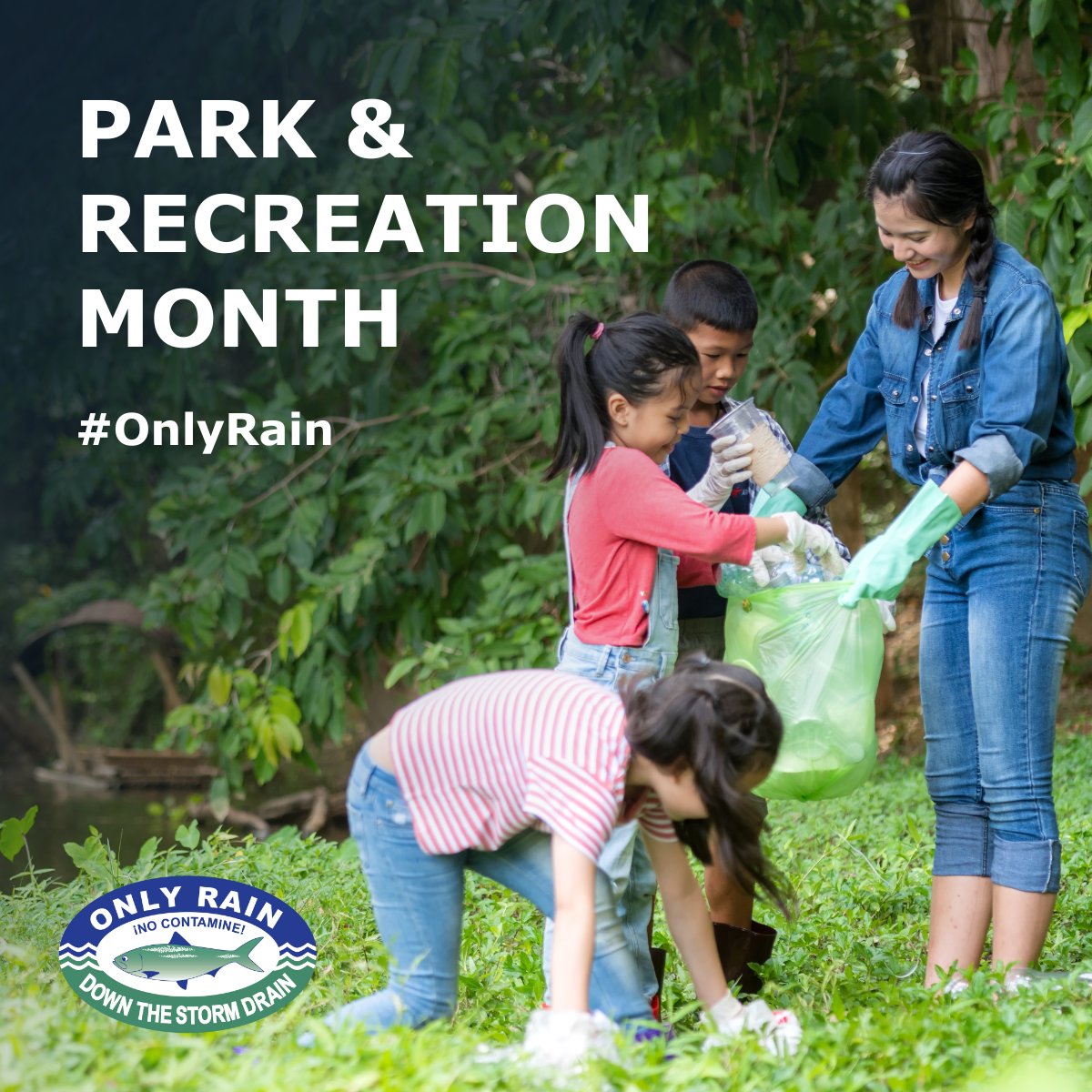 Northern Virginia Clean Water Partners (@nova_cwp) on Twitter photo Park and Recreation Month continues! 🏞️Let's get outside and explore all that our local parks have to offer. Want to do your part in keeping our green areas and rivers clean? Participate in local volunteer opportunities: onlyrain.org/local-voluntee… Park and Recreation Month continues! 🏞️Let's get outside and explore all that our local parks have to offer. Want to do your part in keeping our green areas and rivers clean? Participate in local volunteer opportunities: onlyrain.org/local-voluntee…
