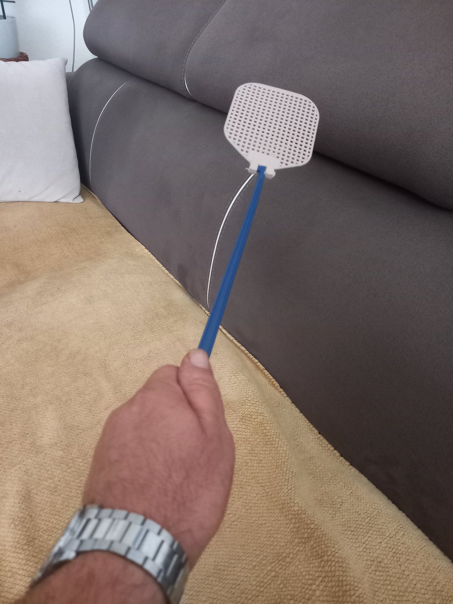 Svoj pitiespi liječim ubijajući muhe i komarce po kući, baš mi nekako godi.