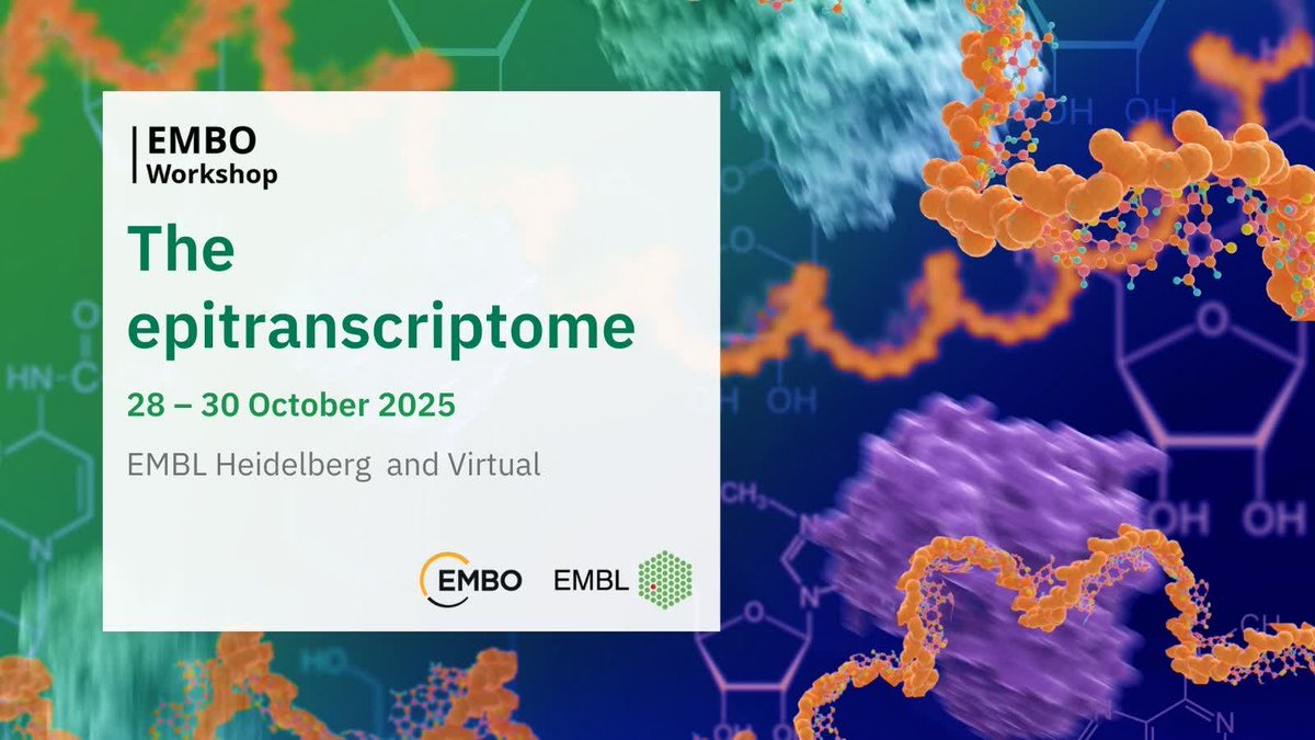 EMBLEvents's tweet image. We're excited for the fourth edition of #EMBLEpitrans, how about you? 🙌
Join us as we highlight recent developments and focus on future aspects and current challenges in the RNA field at the EMBO Workshop 'The epitranscriptome' 🔍 ➡️ s.embl.org/etc25-01-x
📩 Submit your…