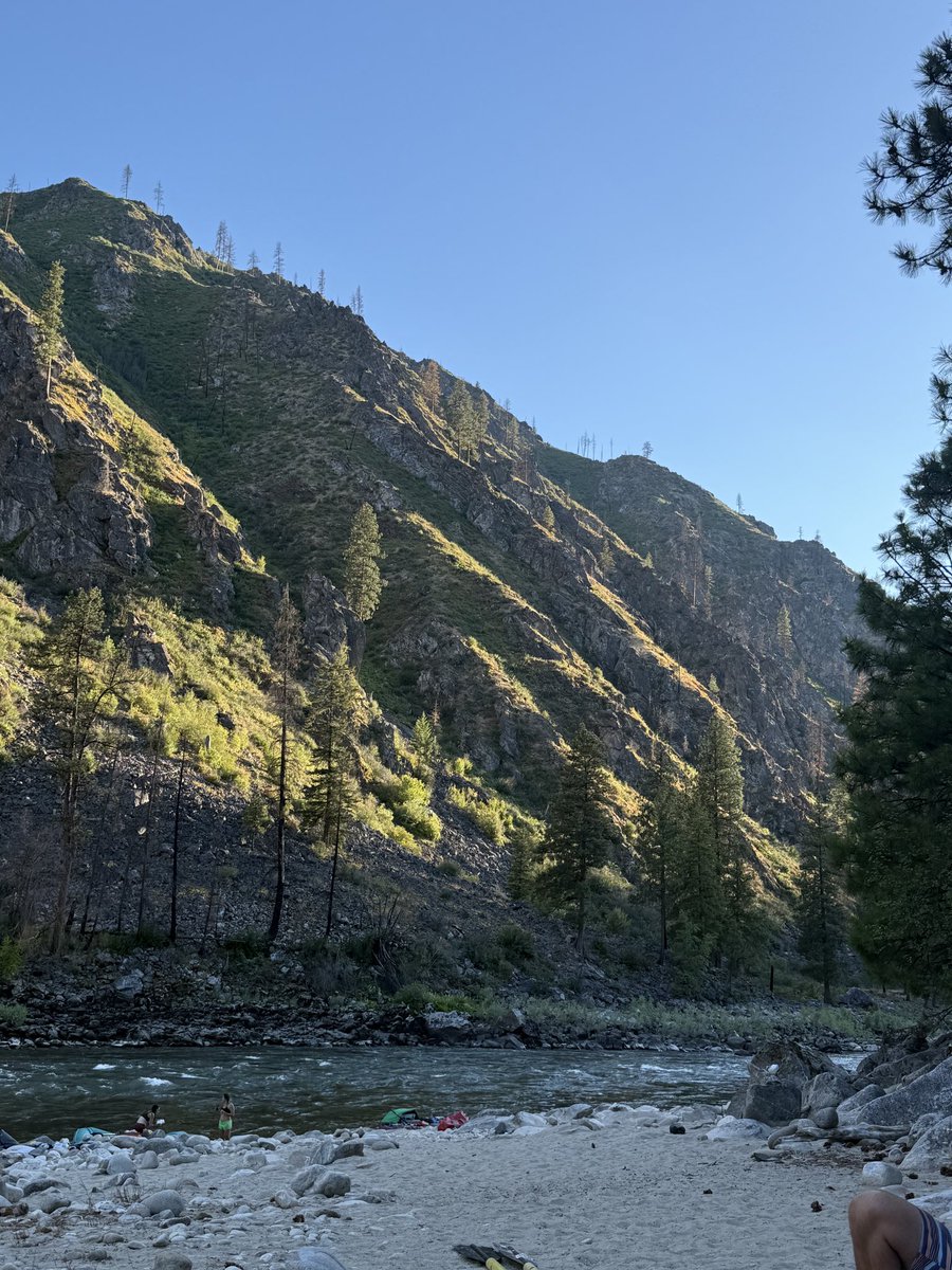 c_m_dangelo's tweet image. .@JamesCTobias and I are back from a wild trip down the Main Salmon. Floated through a wildfire, caught a gorgeous bull trout (quite a surprise!), gazed at the stars, drank beer from a booty after capsizing in a Class IV rapid. Feeling alive, humbled and recharged.