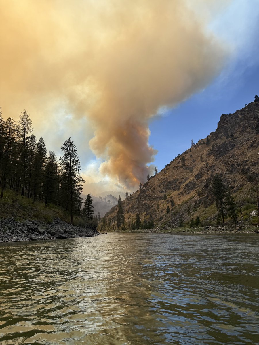 c_m_dangelo's tweet image. .@JamesCTobias and I are back from a wild trip down the Main Salmon. Floated through a wildfire, caught a gorgeous bull trout (quite a surprise!), gazed at the stars, drank beer from a booty after capsizing in a Class IV rapid. Feeling alive, humbled and recharged.