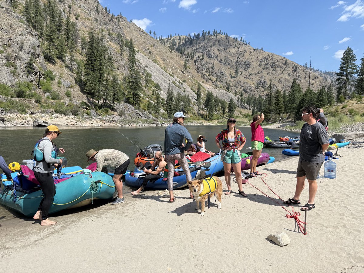 c_m_dangelo's tweet image. .@JamesCTobias and I are back from a wild trip down the Main Salmon. Floated through a wildfire, caught a gorgeous bull trout (quite a surprise!), gazed at the stars, drank beer from a booty after capsizing in a Class IV rapid. Feeling alive, humbled and recharged.