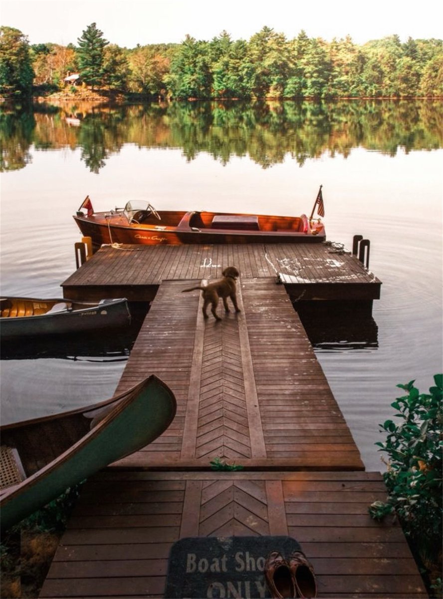 KJP's tweet image. New England’s warm summer days and cool fall nights is my favorite season