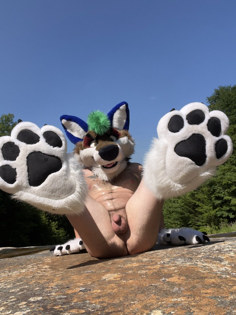 Was a long hike up to this spot. These paws could use a rub👌💦
