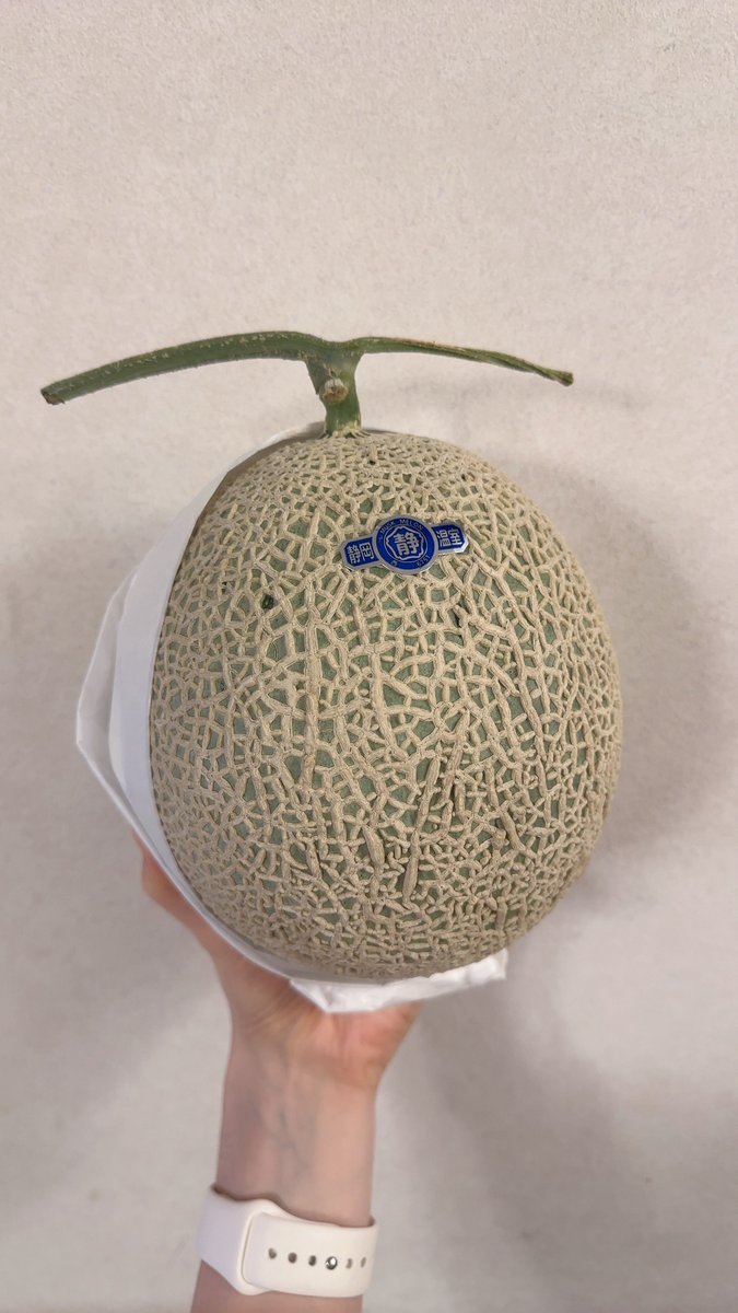 AsaKamiya's tweet image. 算算パニックありがとうございました🤯
東大生なら余裕だよね✌️

#ネプリーグ