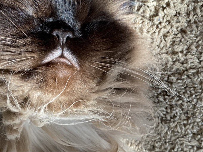 TheCrustyCash's tweet image. MOUF👏🏽MONDAY👏🏽 MINE BESTYS LETS SEE SOM BALDE MOUF TODAY OK‼️‼️‼️‼️⬇️⬇️⬇️