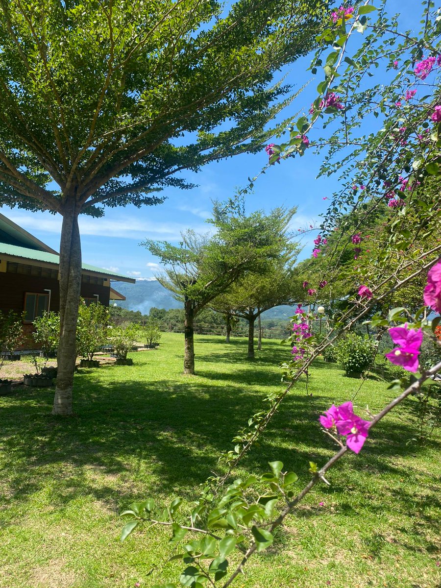 DGS Visits tweet media