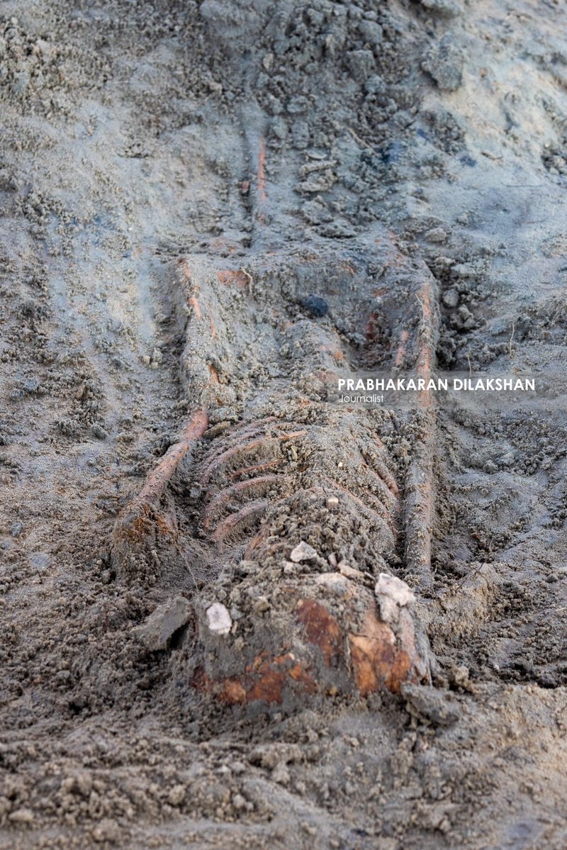 Prabhakaranlk's tweet image. The excavation work at the previously halted Chemmani mass grave site in Jaffna resumed today.
During today’s excavation activities, seven new sets of human skeletal remains were discovered. With this latest finding, the total number of human skeletal risen to 72.