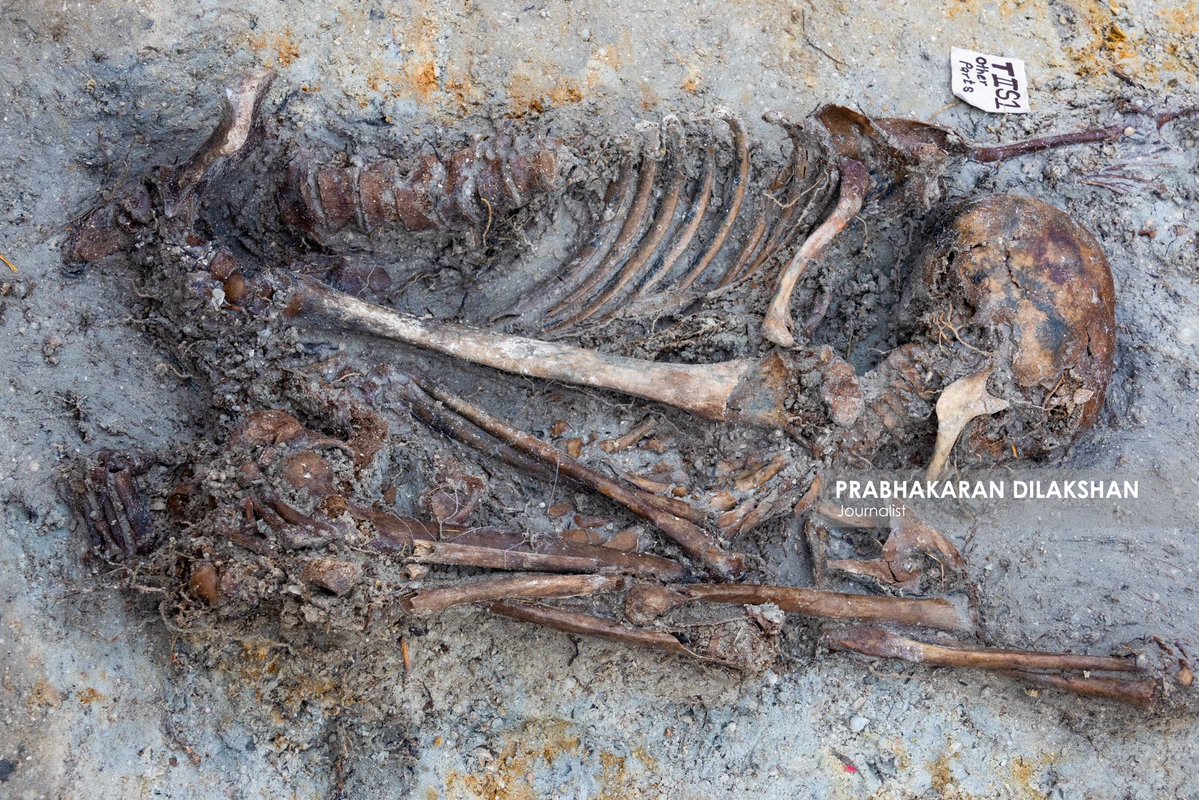 Prabhakaranlk's tweet image. The excavation work at the previously halted Chemmani mass grave site in Jaffna resumed today.
During today’s excavation activities, seven new sets of human skeletal remains were discovered. With this latest finding, the total number of human skeletal risen to 72.