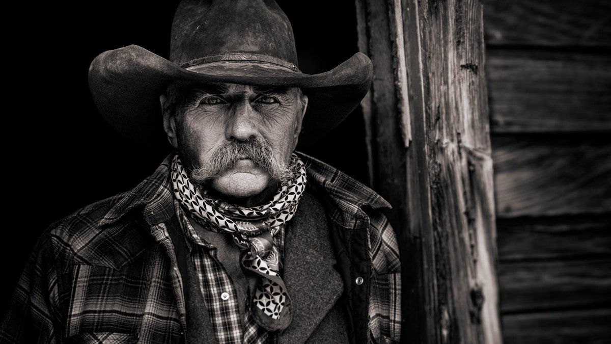 Tom Opre tweet media