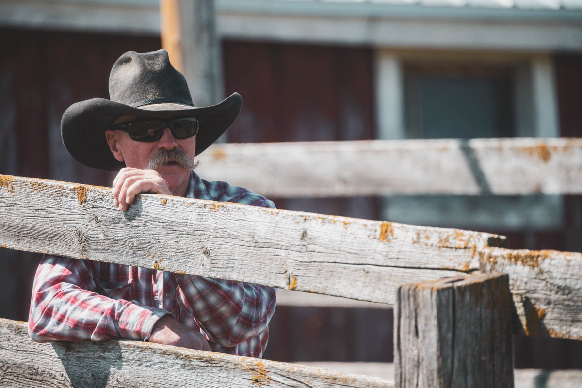 Tom Opre tweet media