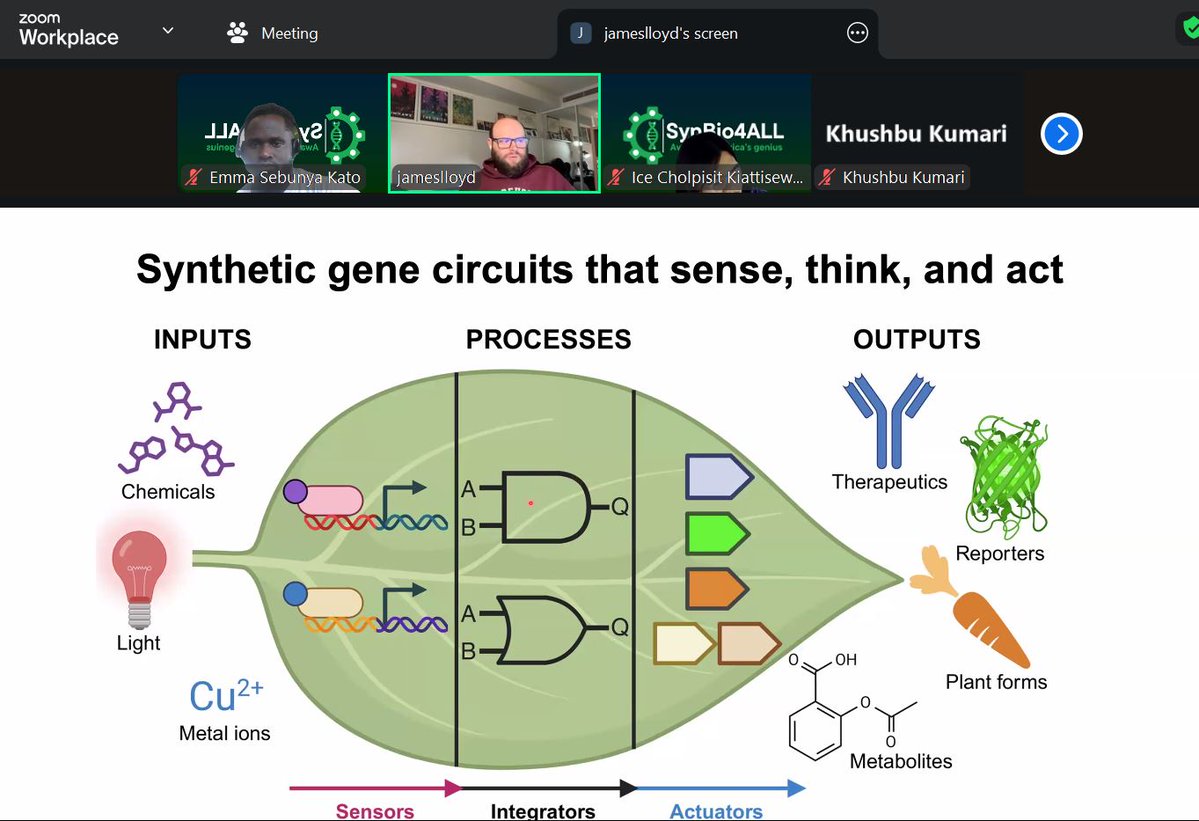 Synbio4allA's tweet image. Today is an exciting day at SynBio4ALL Africa, we have hosted Dr. James Lloyd, of the global scientists in plant SynBio and he is sharing great ideas about re-writing plant genomes. You can learn more by checking on our website: synbio4all.wixsite.com/synbio4all