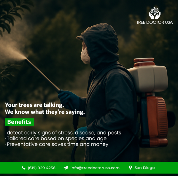 TreeDoctorUSA's tweet image. 𝐘𝐨𝐮𝐫 𝐭𝐫𝐞𝐞𝐬 𝐚𝐫𝐞 𝐰𝐡𝐢𝐬𝐩𝐞𝐫𝐢𝐧𝐠… 𝐚𝐫𝐞 𝐲𝐨𝐮 𝐥𝐢𝐬𝐭𝐞𝐧𝐢𝐧𝐠?
At Tree Doctor USA, we decode the silent signs of stress, pests.
#TreeCareExperts #TreeDoctorUSA #SanDiegoTrees #GreenHealth #UrbanForestCare #PlantHealthMatters #EcoFriendlyLiving