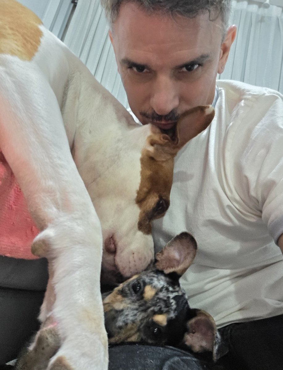 Hoy es el día de mis hijitos... nuestros compañeros incondicionales. #DiaMundialDelPerro 🥰
