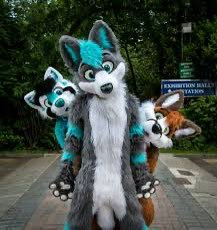 SevenSixTwo_'s tweet image. Someone needs to study the correlation between wealthy tech bros and being Furries
Is is autism? Internet and porn addiction (my guess)? A secret 3rd thing?
