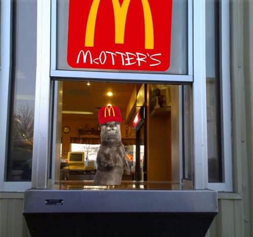Lutra_Gaming's tweet image. The EOA (Evil Otter Alliance) has bought
@McDonalds and renamed it McOtters on its quest to feed humanity shit food and kill them with diabetes and obesity. The plan is working
