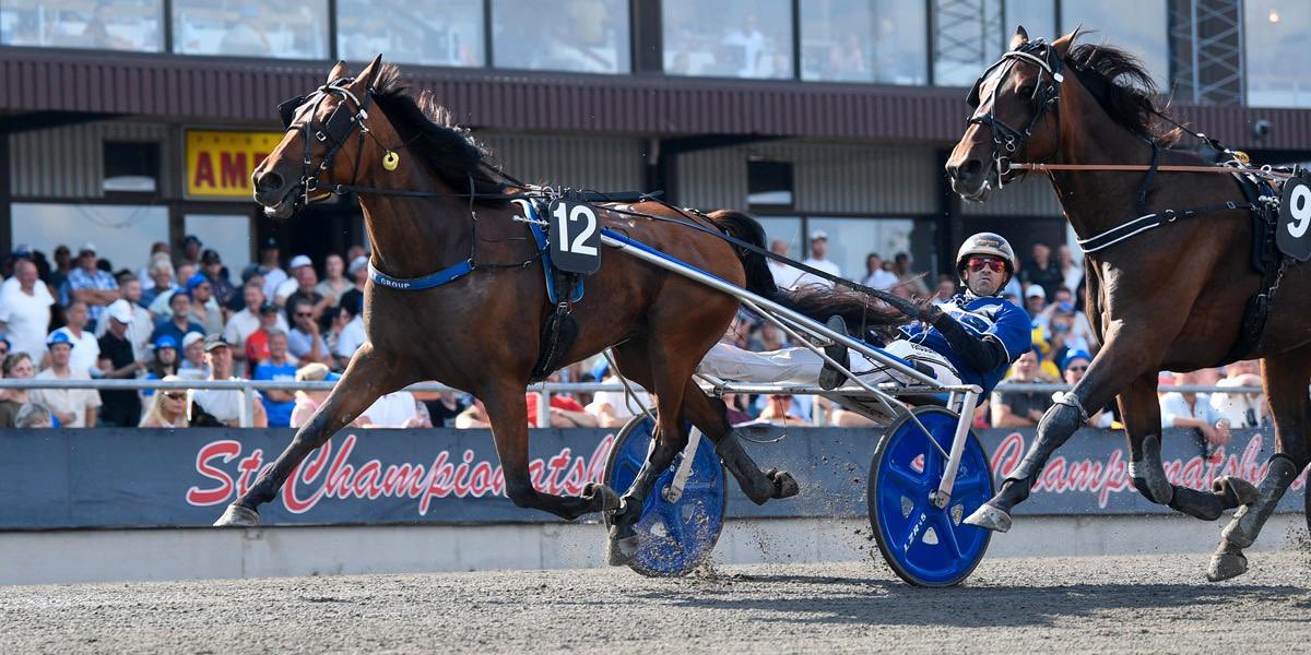 Västerbo Mash🥇 på #v75 

Två år som proffstränare i helgen.

8 038 403kr
65🥇
174 🥇🥈🥉

Heja #StallDenco 💪🏼
