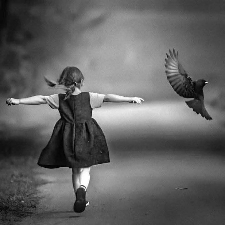 يُصبح حراً من لا ينتظر شيء من أحد