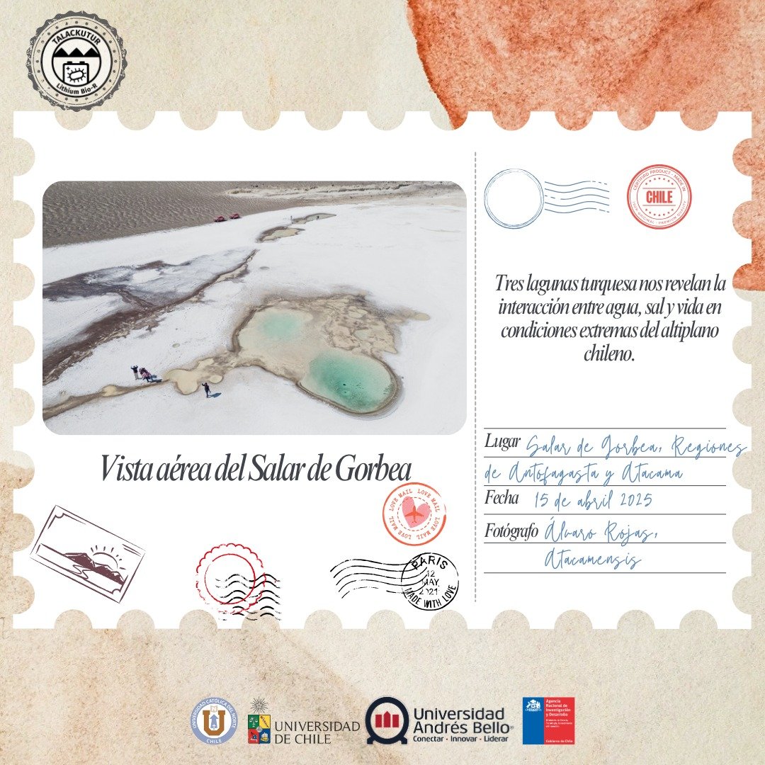 Lithium_rucn's tweet image. 🌄 ¡Seguimos con otra postal de ciencia en altura en nuestra serie #PostalesTalackutur!
📍 Séptima postal
📆 Abril 2025 – Segunda campaña de terreno
🧭 Salar de Gorbea, Altiplano chileno (aprox. 3.900 m s.n.m.)
📷 Fotografía aérea: Álvaro Rojas (Atacamensis).