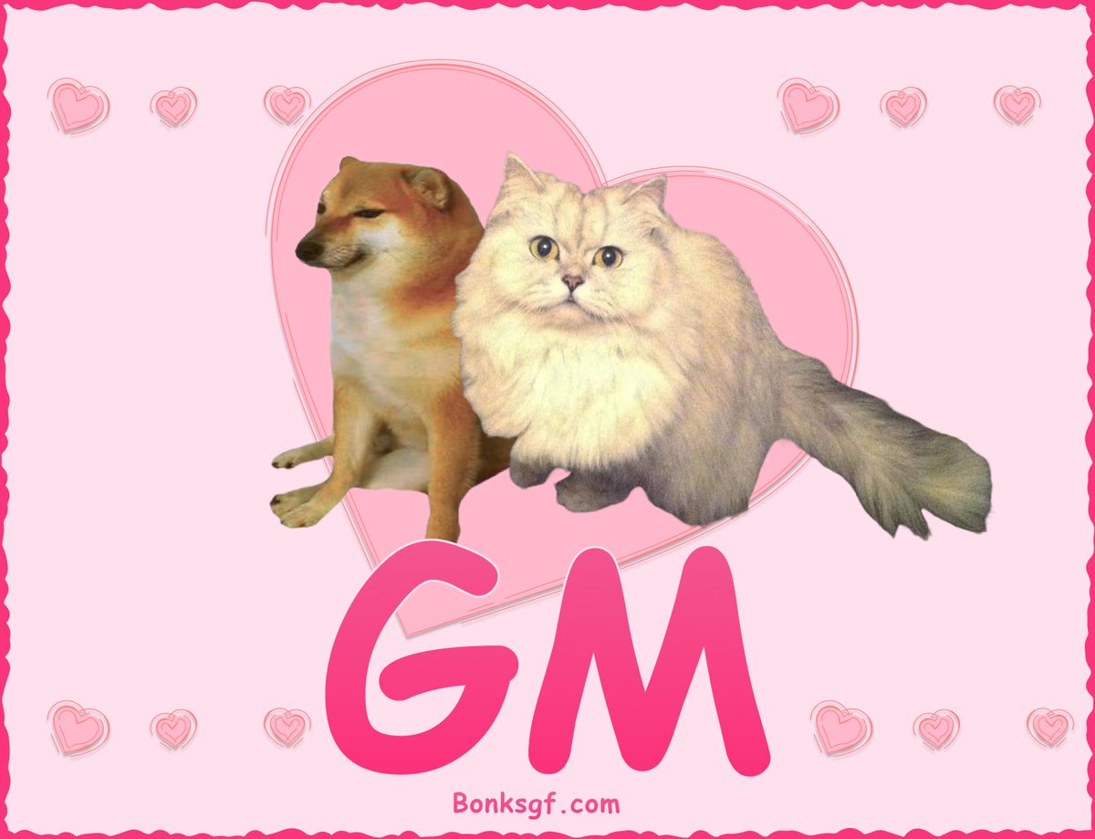 GM  bonk fam 

💕🐱🐕 

$BONK $SIU