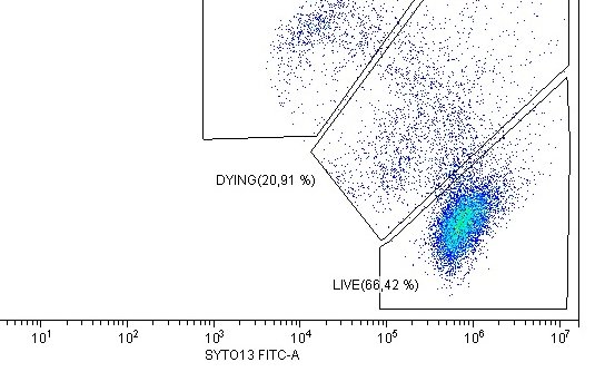 CIPFciencia's tweet image. 🗓️Have a look to the upcoming Flow Cytometry workshops at CIPF ⤵️
🔗cipf.es/education-trai…
#FlowCytometry #CIPF