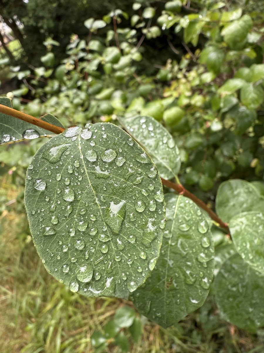 Il faut être l'homme de la pluie et l'enfant du beau temps.
René Char