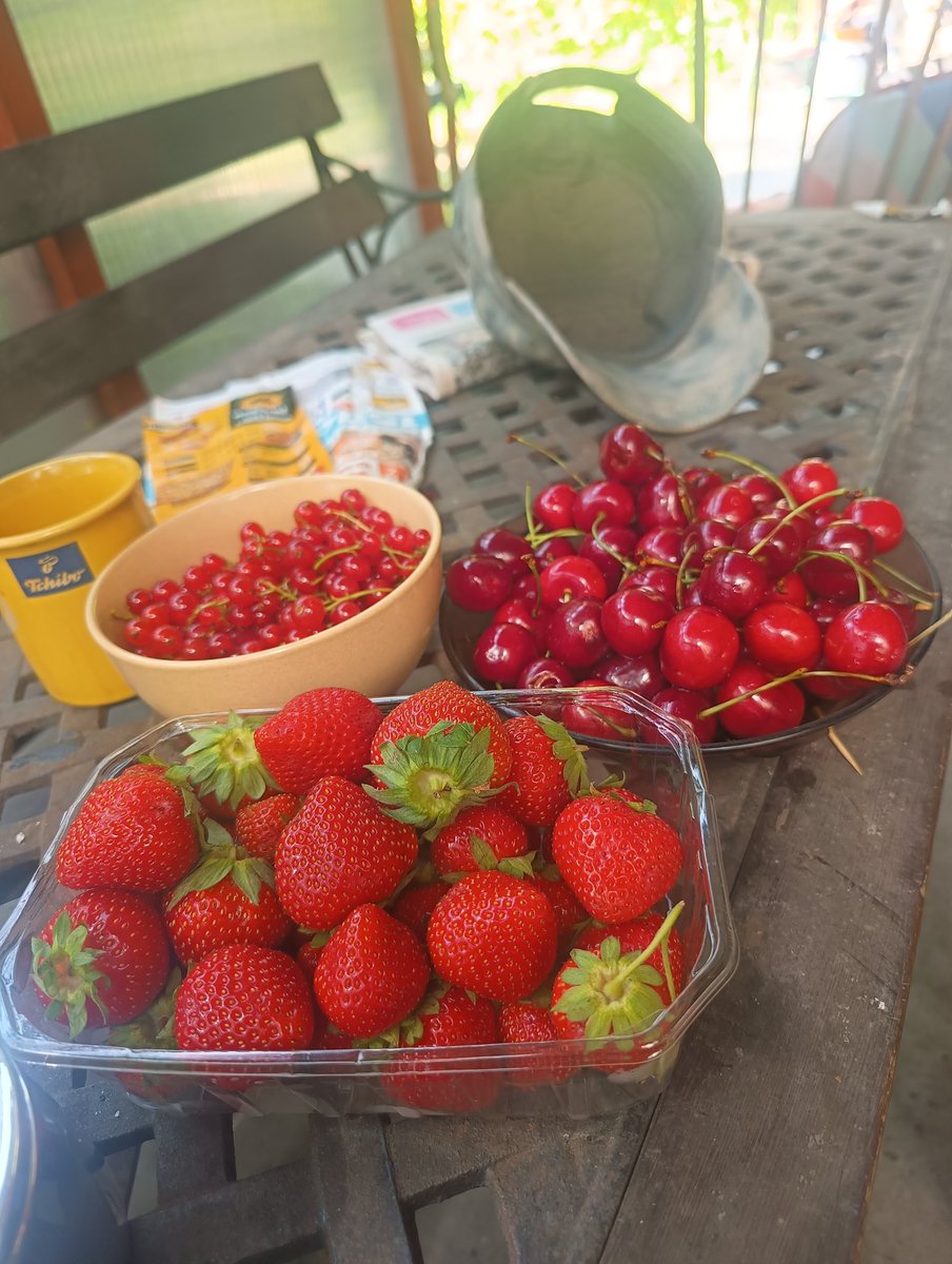 GGanszczyk's tweet photo. Na ryneczku byłem. 😊❤️🌻🍓🍒 #fruits #WeekendVibes #July #Summer #NaturePhotography https://t.co/mBnUk5zEMP