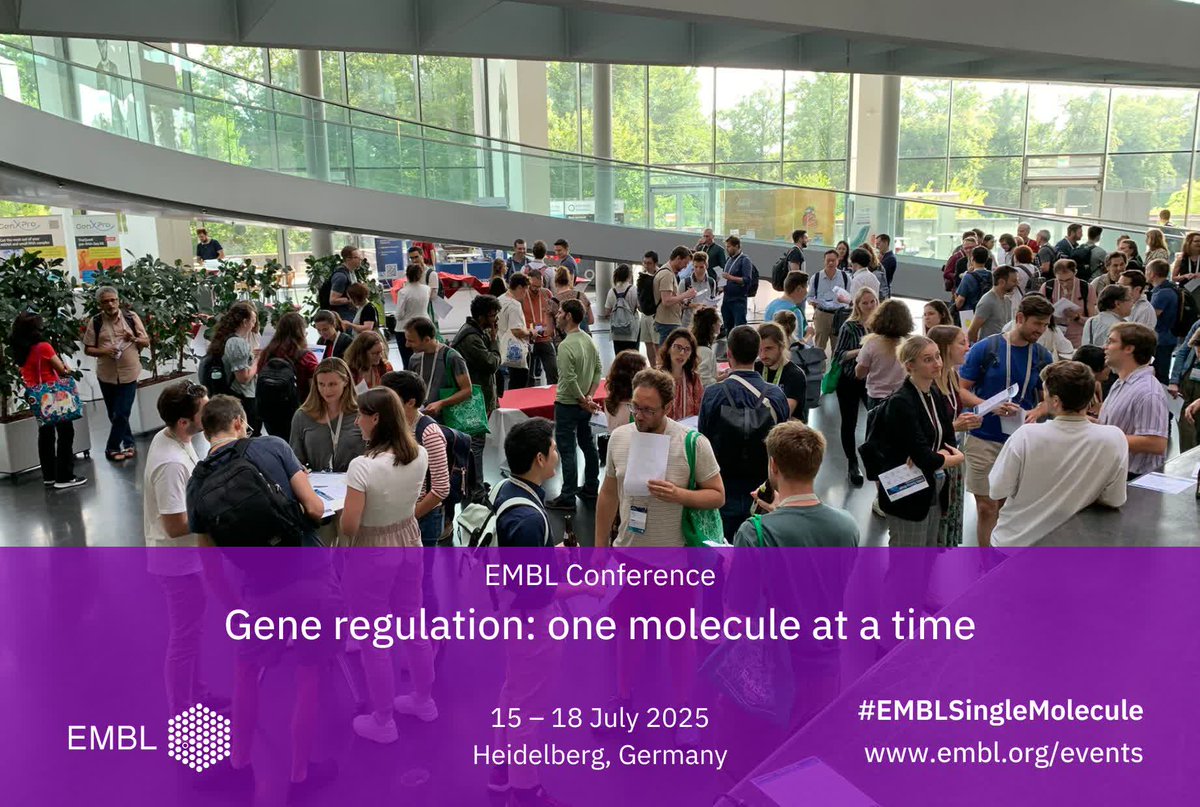 EMBLEvents's tweet image. What an incredible four days at the "Gene regulation: one molecule at a time" conference last week! A huge thank you to the organisers, speakers, and all participants 🙏🏼 #EMBLSingleMolecule
From groundbreaking single-molecule insights into transcription and chromatin dynamics,…