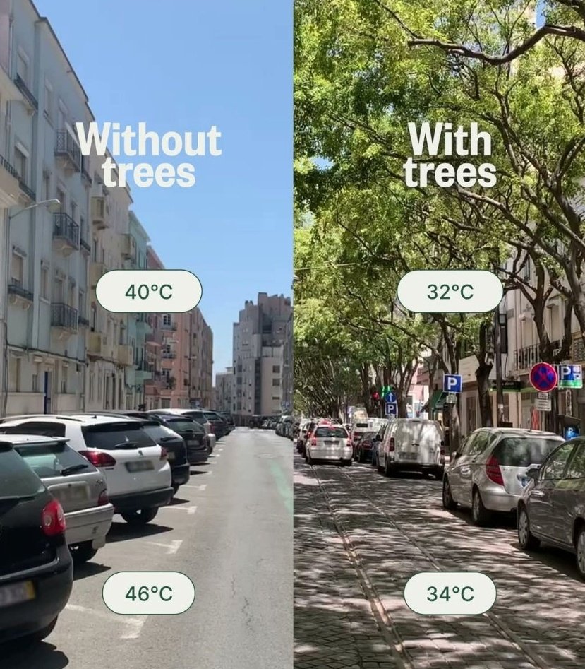 Da se podsetimo jednog od razloga velikih vrucina u gradu (osim klimatskih primena in general)