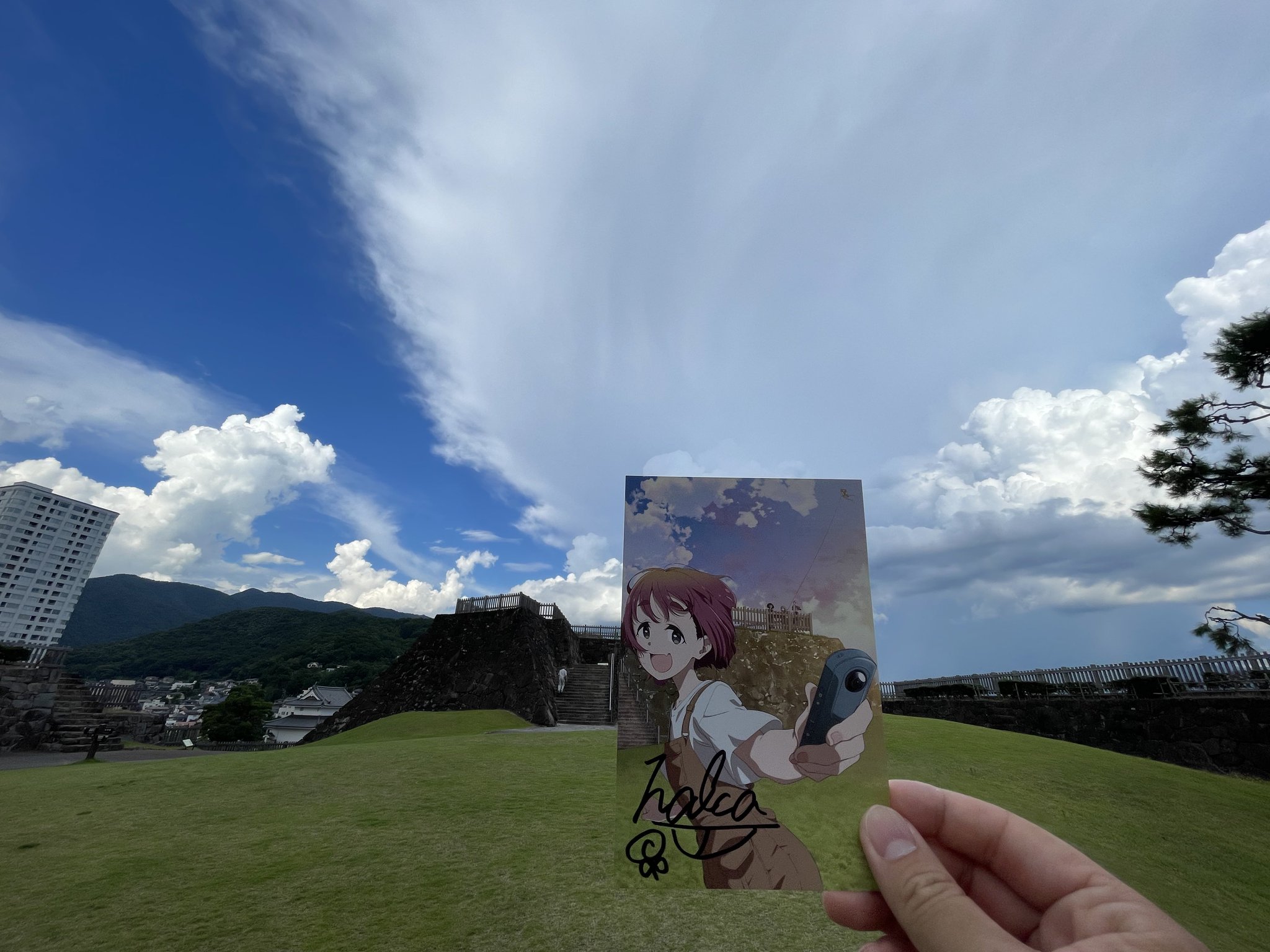 イルカのぴょって on X: 