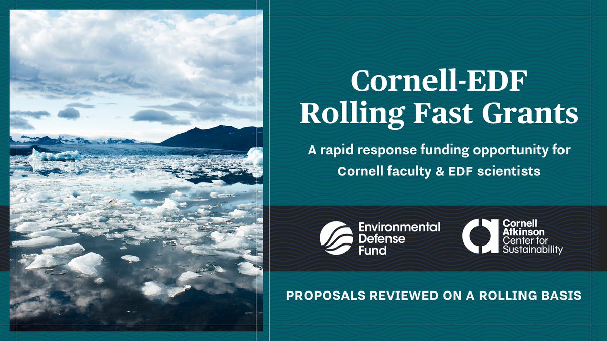 AtkinsonCenter's tweet image. Calling @Cornell faculty 📢
Today we launch **four** new funding opportunities at Cornell Atkinson to support bold, interdisciplinary work that advances real-world solutions.
ℹ️ Explore the funding opportunities: atkinson.cornell.edu/grants/