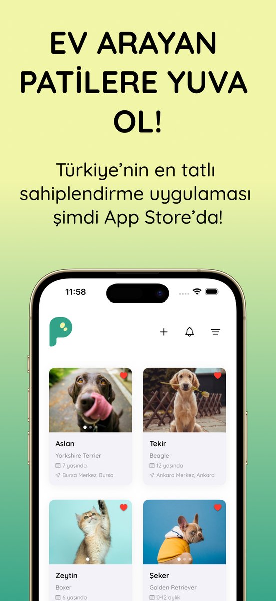 onuriart's tweet photo. @saydogmuss merhaba, sahiplendirme ilanlarını daha düzenli ve görünür kılmak için iOS'ta Patigo adında bir topluluk platformu kurduk. ilan açıp başvuru toplayabiliyorsunuz. belki ileride işinize yarar diye bırakıyorum. app store’da Patigo diye aratabilirsiniz 🐾 📷 https://t.co/OvW7ivzFqP