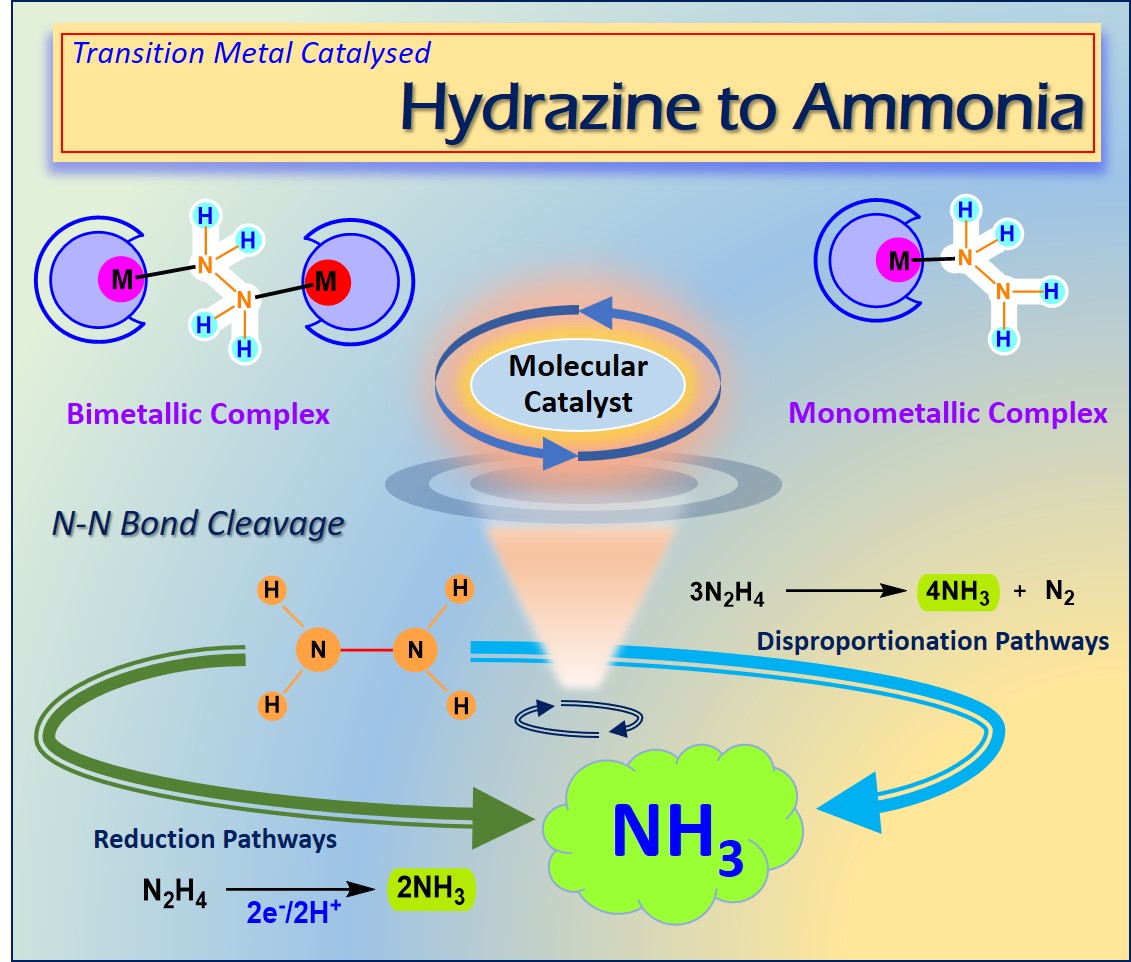 Our recent review on Hydrazine to Ammonia
aces.onlinelibrary.wiley.com/doi/10.1002/as…