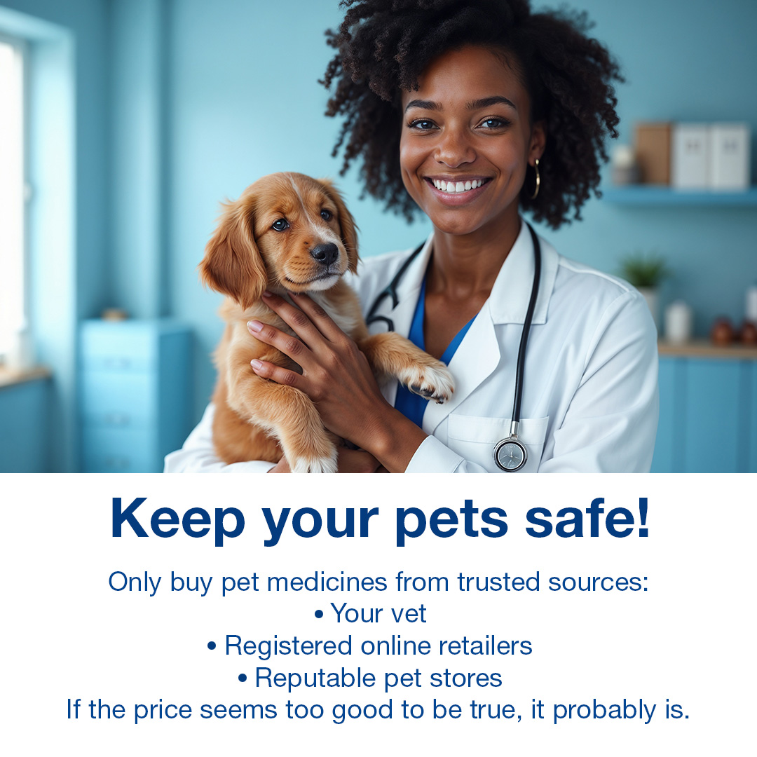 Criminals are targeting pet owners with counterfeit flea and worming treatments sold via online marketplaces.

18,000 illegal animal medicines and supplements were stopped last year.

Let’s stop the spread of dangerous counterfeits. Find out more: bit.ly/FakeFleaTreatm…