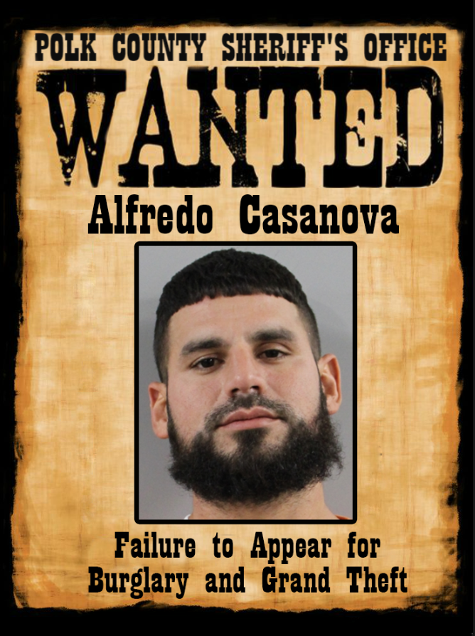 PolkCoSheriff's tweet image. Meet 30-year old Alfredo Casanova of Homestead.
You've actually met him before. Alf was arrested by the PCSO's Agriculture Crimes Unit back in February, along with his buddy, Jordan Montoya.
Both men came up from the Miami area and stole two black swans and their eggs from a…
