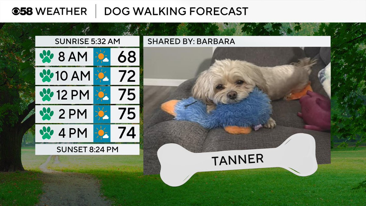 JustinTGee's tweet image. Tanner is our featured pet today! A cool and comfy day with highs in the 70s lakeside and around 80 inland with a mix of sun and clouds and a touch of haze that gets better this afternoon.